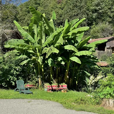 Les Du Ruisseau Apartamento Chein-Dessus