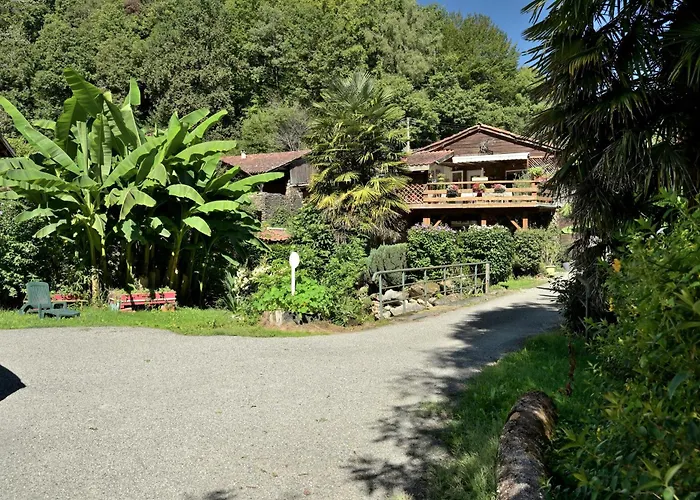 Les Du Ruisseau * Chein-Dessus